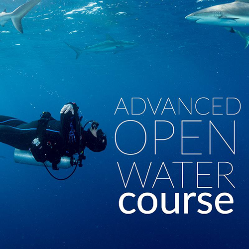 Advanced Open Water Diver - Private Course